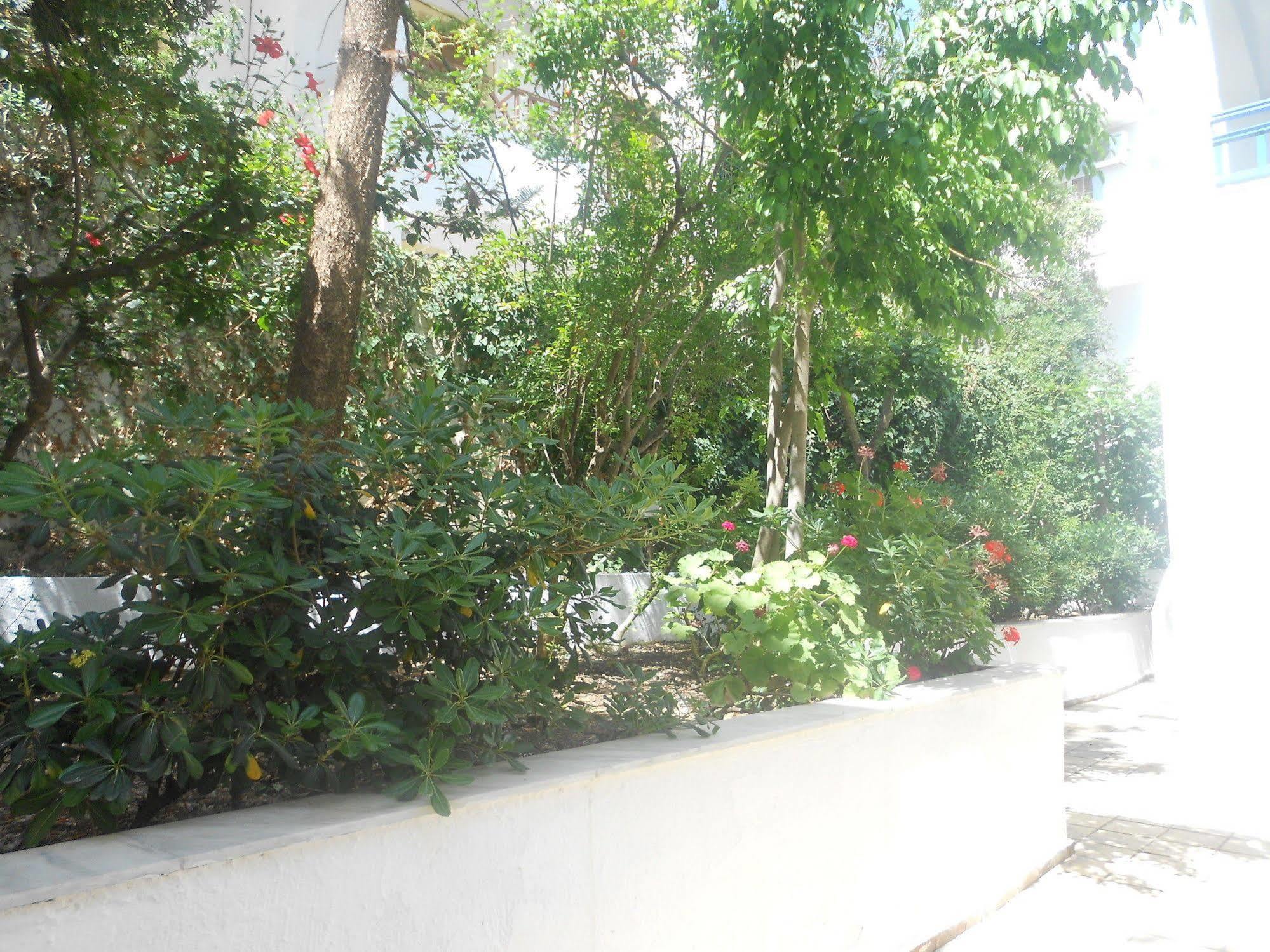 Elalia Apartments แอร์ซอนิสซอส ภายนอก รูปภาพ